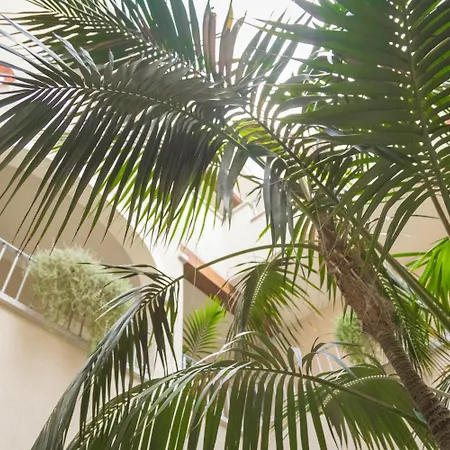 호텔 Regina Simius 3*