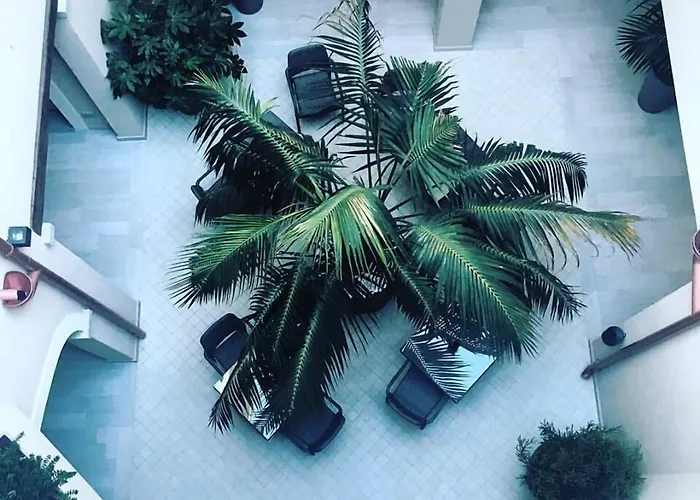 Regina Simius 酒店 维拉西米乌斯