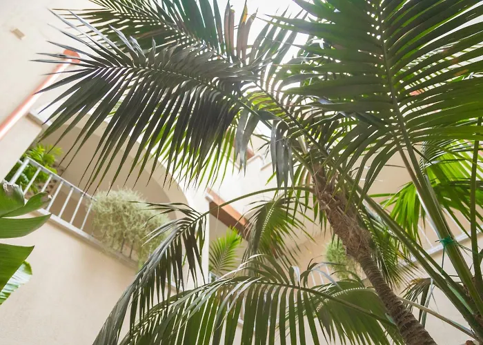 酒店 Regina Simius 3*